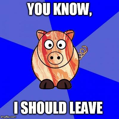 Self-Endangerment Pig | YOU KNOW, I SHOULD LEAVE | image tagged in self-endangerment pig | made w/ Imgflip meme maker