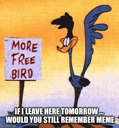 There's too many places I've got to see | IF I LEAVE HERE TOMORROW
... WOULD YOU STILL REMEMBER MEME | image tagged in memes,roadrunner,free stuff,latest,featured | made w/ Imgflip meme maker
