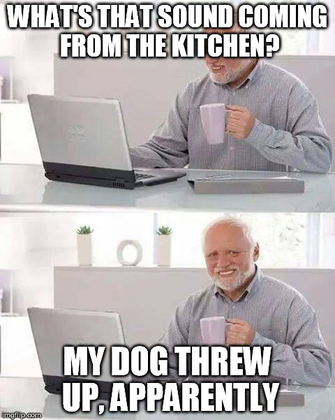 Hide the Pain Harold | WHAT'S THAT SOUND COMING FROM THE KITCHEN? MY DOG THREW UP, APPARENTLY | image tagged in memes,hide the pain harold | made w/ Imgflip meme maker