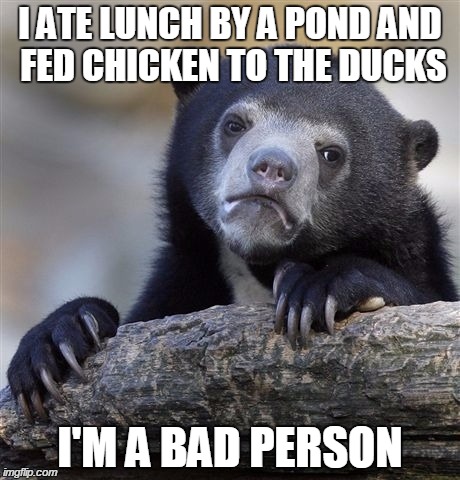Sadistic or funny? | I ATE LUNCH BY A POND AND FED CHICKEN TO THE DUCKS; I'M A BAD PERSON | image tagged in memes,confession bear,cannibalism,psycho | made w/ Imgflip meme maker