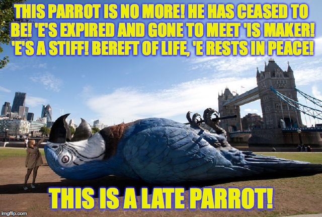 Ahh, nothing like a full Monty | THIS PARROT IS NO MORE! HE HAS CEASED TO BE! 'E'S EXPIRED AND GONE TO MEET 'IS MAKER! 'E'S A STIFF! BEREFT OF LIFE, 'E RESTS IN PEACE! THIS IS A LATE PARROT! | image tagged in memes,gifs,monty python,parrot | made w/ Imgflip meme maker