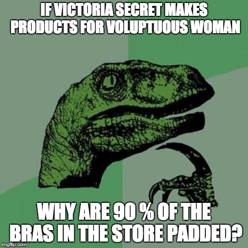 Philosoraptor | IF VICTORIA SECRET MAKES PRODUCTS FOR VOLUPTUOUS WOMAN; WHY ARE 90 % OF THE BRAS IN THE STORE PADDED? | image tagged in memes,philosoraptor | made w/ Imgflip meme maker