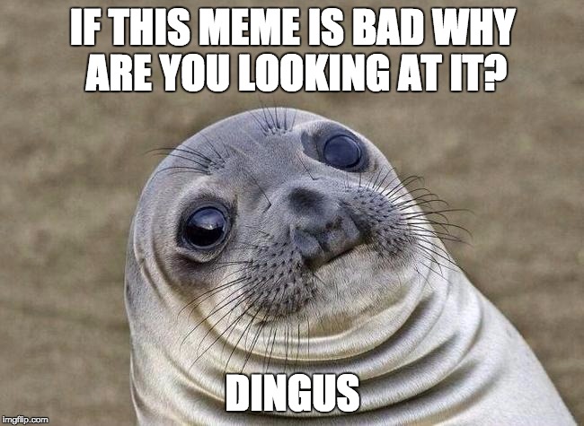 Dingus | IF THIS MEME IS BAD WHY ARE YOU LOOKING AT IT? DINGUS | image tagged in dingus,memes | made w/ Imgflip meme maker