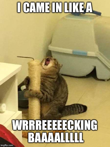 Microphone Cat - Wrecking Ball | I CAME IN LIKE A; WRRREEEEECKING BAAAALLLLL | image tagged in microphone cat | made w/ Imgflip meme maker