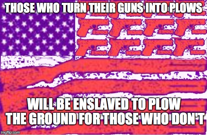 ALWAYS VIGILANT | THOSE WHO TURN THEIR GUNS INTO PLOWS; WILL BE ENSLAVED TO PLOW THE GROUND FOR THOSE WHO DON'T | image tagged in gun control | made w/ Imgflip meme maker