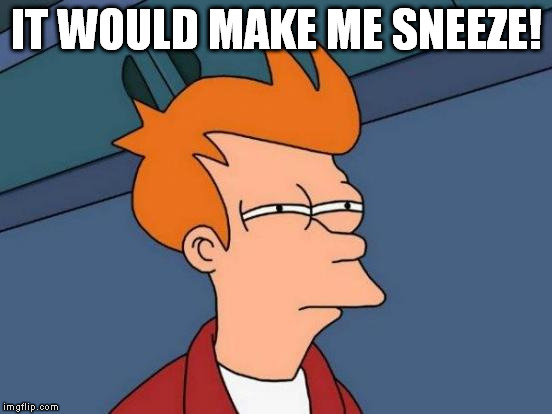 Futurama Fry Meme | IT WOULD MAKE ME SNEEZE! | image tagged in memes,futurama fry | made w/ Imgflip meme maker