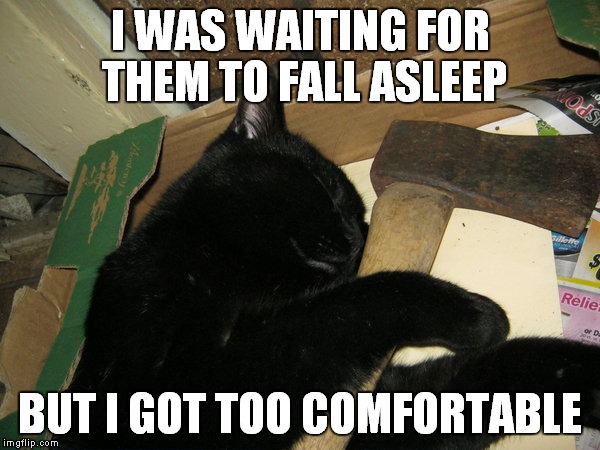 I WAS WAITING FOR THEM TO FALL ASLEEP BUT I GOT TOO COMFORTABLE | made w/ Imgflip meme maker