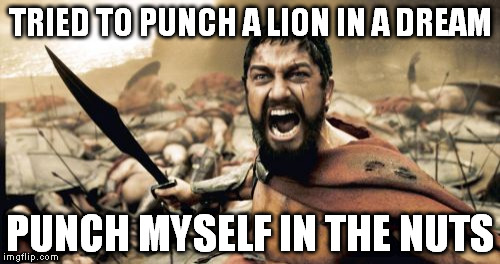 Sparta Leonidas Meme | TRIED TO PUNCH A LION IN A DREAM; PUNCH MYSELF IN THE NUTS | image tagged in memes,sparta leonidas,AdviceAnimals | made w/ Imgflip meme maker