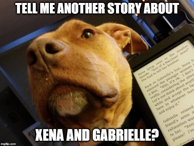 TELL ME ANOTHER STORY ABOUT; XENA AND GABRIELLE? | image tagged in dog,reading,xena/gabby meme | made w/ Imgflip meme maker