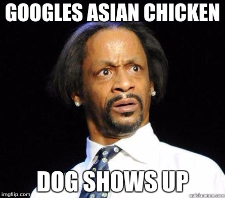 Katt Williams WTF Meme | GOOGLES ASIAN CHICKEN; DOG SHOWS UP | image tagged in katt williams wtf meme,wtf,lol,that face you make when | made w/ Imgflip meme maker