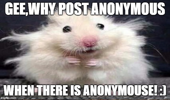 GEE,WHY POST ANONYMOUS WHEN THERE IS ANONYMOUSE! :) | made w/ Imgflip meme maker