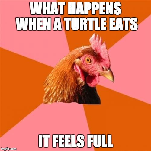 Anti Joke Chicken | WHAT HAPPENS WHEN A TURTLE EATS; IT FEELS FULL | image tagged in memes,anti joke chicken | made w/ Imgflip meme maker