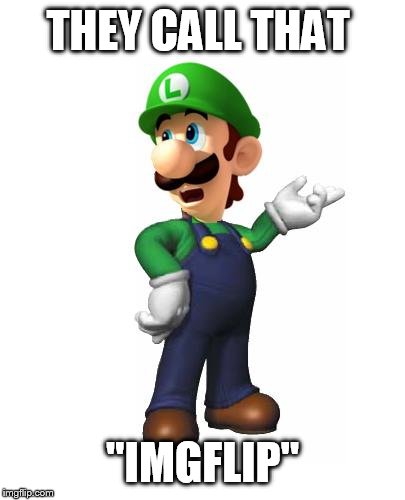 Logic Luigi | THEY CALL THAT "IMGFLIP" | image tagged in logic luigi | made w/ Imgflip meme maker