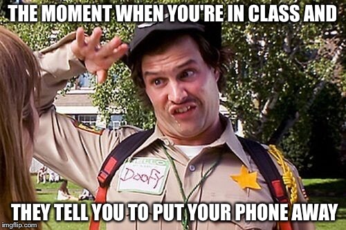 Special Officer Doofy | THE MOMENT WHEN YOU'RE IN CLASS AND; THEY TELL YOU TO PUT YOUR PHONE AWAY | image tagged in special officer doofy | made w/ Imgflip meme maker