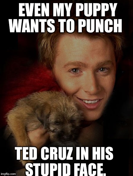 Clay Aiken vs Ted Cruz |  EVEN MY PUPPY; WANTS TO PUNCH; TED CRUZ IN HIS STUPID FACE. | image tagged in clay aiken and a puppy,ted cruz,republican debate,clay aiken,punch | made w/ Imgflip meme maker