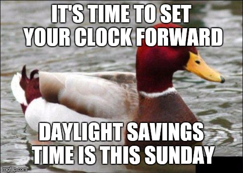 Malicious Advice Mallard | IT'S TIME TO SET YOUR CLOCK FORWARD; DAYLIGHT SAVINGS TIME IS THIS SUNDAY | image tagged in memes,malicious advice mallard | made w/ Imgflip meme maker