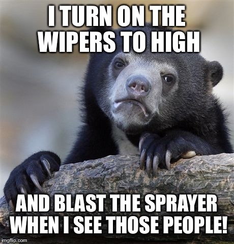 Confession Bear Meme | I TURN ON THE WIPERS TO HIGH AND BLAST THE SPRAYER WHEN I SEE THOSE PEOPLE! | image tagged in memes,confession bear | made w/ Imgflip meme maker