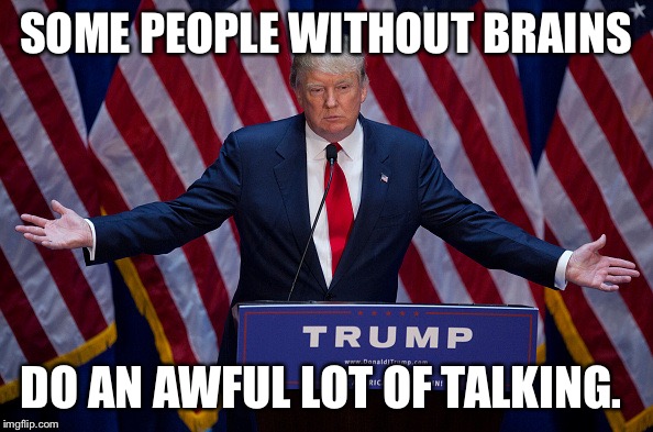 Donald Trump | SOME PEOPLE WITHOUT BRAINS; DO AN AWFUL LOT OF TALKING. | image tagged in donald trump | made w/ Imgflip meme maker