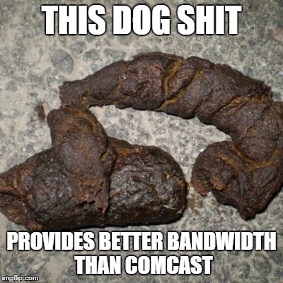 comcast | THIS DOG SHIT; PROVIDES BETTER BANDWIDTH THAN COMCAST | image tagged in comcast,xfinity,comcast sucks | made w/ Imgflip meme maker