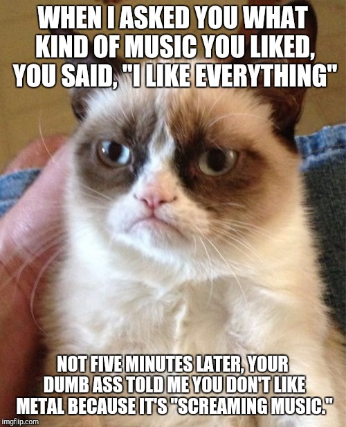 Don't lie in order to try and appease me....even about music | WHEN I ASKED YOU WHAT KIND OF MUSIC YOU LIKED, YOU SAID, "I LIKE EVERYTHING"; NOT FIVE MINUTES LATER, YOUR DUMB ASS TOLD ME YOU DON'T LIKE METAL BECAUSE IT'S "SCREAMING MUSIC." | image tagged in memes,grumpy cat,music,funny memes | made w/ Imgflip meme maker