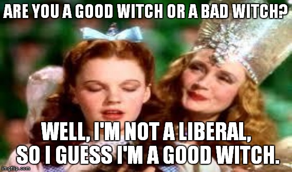 ARE YOU A GOOD WITCH OR A BAD WITCH? WELL, I'M NOT A LIBERAL, SO I GUESS I'M A GOOD WITCH. | made w/ Imgflip meme maker