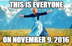 No more debates, commercials, rallies, fighting, campaigning, endless candidate coverage, mailers, calls, yard signs... | THIS IS EVERYONE; ON NOVEMBER 9, 2016 | image tagged in memes,look at all these | made w/ Imgflip meme maker