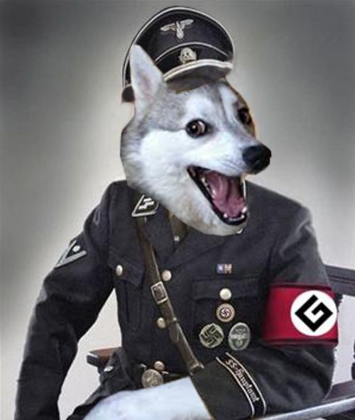 High Quality Grammar Police Dog Blank Meme Template