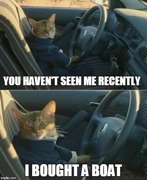 Boat Cat in Car | YOU HAVEN'T SEEN ME RECENTLY I BOUGHT A BOAT | image tagged in boat cat in car | made w/ Imgflip meme maker