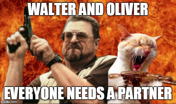 WALTER AND OLIVER EVERYONE NEEDS A PARTNER | made w/ Imgflip meme maker