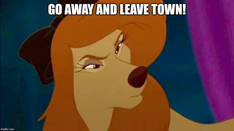 Go Away And Leave Town! | GO AWAY AND LEAVE TOWN! | image tagged in dixie,memes,dog,disney,fox and the hound 2,stern | made w/ Imgflip meme maker