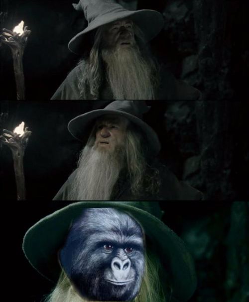 Confused Gandalf Rustling Blank Meme Template