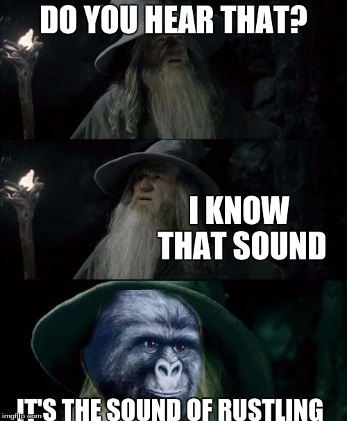 Even Middle-Earth has rustling. | DO YOU HEAR THAT? I KNOW THAT SOUND; IT'S THE SOUND OF RUSTLING | image tagged in confused gandalf rustling,confused gandalf,memes | made w/ Imgflip meme maker