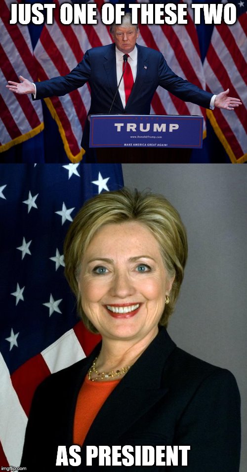 JUST ONE OF THESE TWO AS PRESIDENT | made w/ Imgflip meme maker