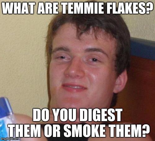 10 Guy | WHAT ARE TEMMIE FLAKES? DO YOU DIGEST THEM OR SMOKE THEM? | image tagged in memes,10 guy,undertale,temmie | made w/ Imgflip meme maker