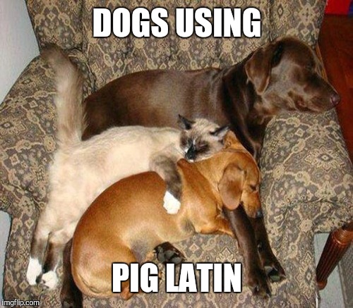 DOGS USING PIG LATIN | made w/ Imgflip meme maker