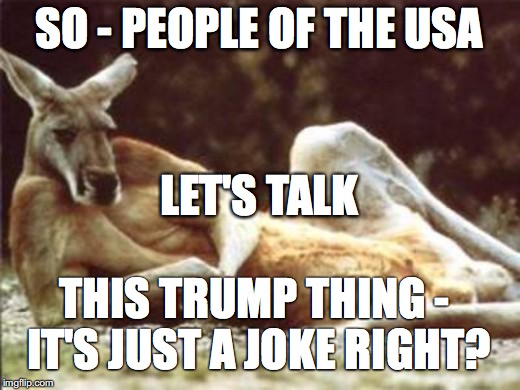Kangaroo | SO - PEOPLE OF THE USA; LET'S TALK; THIS TRUMP THING - IT'S JUST A JOKE RIGHT? | image tagged in kangaroo | made w/ Imgflip meme maker