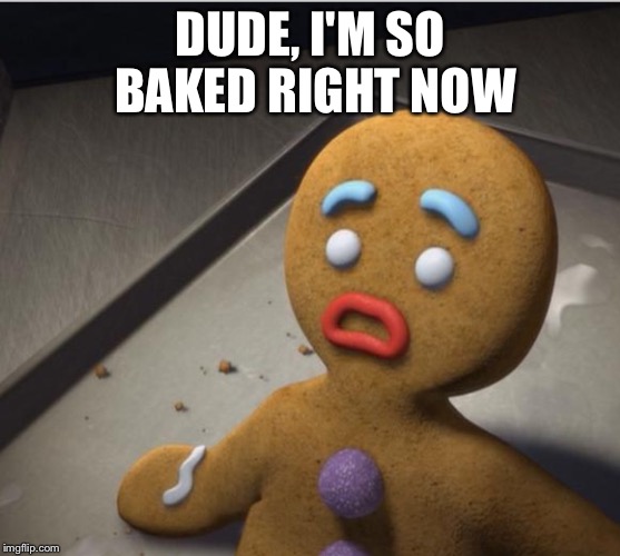 Gingerbread 10 Guy | DUDE, I'M SO BAKED RIGHT NOW | image tagged in 10 guy stoned | made w/ Imgflip meme maker