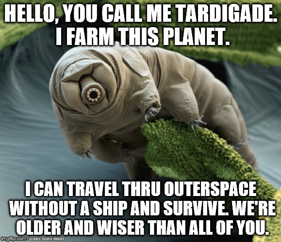 tardigrade | HELLO, YOU CALL ME TARDIGADE. I FARM THIS PLANET. I CAN TRAVEL THRU OUTERSPACE WITHOUT A SHIP AND SURVIVE. WE'RE OLDER AND WISER THAN ALL OF YOU. | image tagged in tardigrade | made w/ Imgflip meme maker