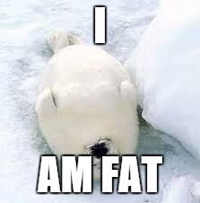 sleepy seal | I; AM FAT | image tagged in sleepy seal | made w/ Imgflip meme maker