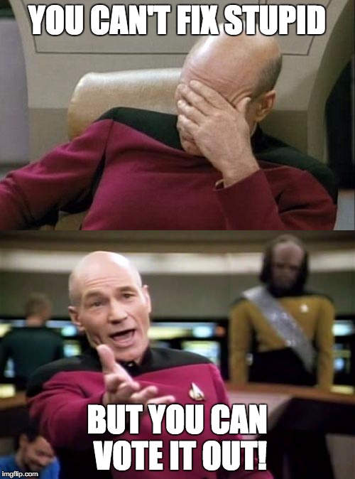 The great thing about our representative republic is that each voter gets the chance to vote for someone stupid. | YOU CAN'T FIX STUPID; BUT YOU CAN VOTE IT OUT! | image tagged in vote,picard,government | made w/ Imgflip meme maker