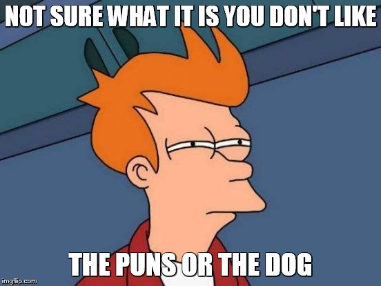 Futurama Fry Meme | NOT SURE WHAT IT IS YOU DON'T LIKE THE PUNS OR THE DOG | image tagged in memes,futurama fry | made w/ Imgflip meme maker