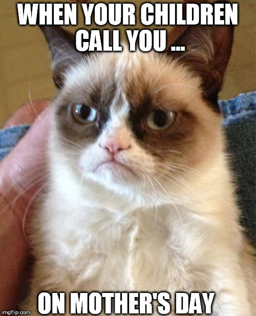 Grumpy Cat Meme | WHEN YOUR CHILDREN CALL YOU ... ON MOTHER'S DAY | image tagged in memes,grumpy cat | made w/ Imgflip meme maker