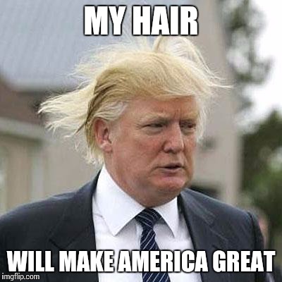 Donald Trump | MY HAIR; WILL MAKE AMERICA GREAT | image tagged in donald trump | made w/ Imgflip meme maker