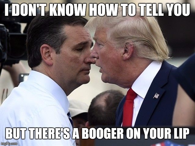 TRUMP CRUZ | I DON'T KNOW HOW TO TELL YOU; BUT THERE'S A BOOGER ON YOUR LIP | image tagged in trump cruz | made w/ Imgflip meme maker