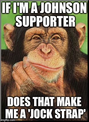 Monkey | IF I'M A JOHNSON SUPPORTER; DOES THAT MAKE ME A 'JOCK STRAP' | image tagged in monkey | made w/ Imgflip meme maker