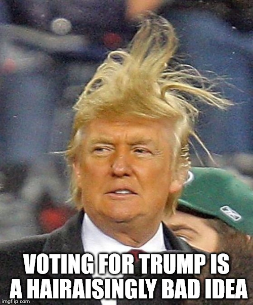 Donald Trumph hair | VOTING FOR TRUMP IS A HAIRAISINGLY BAD IDEA | image tagged in donald trumph hair | made w/ Imgflip meme maker