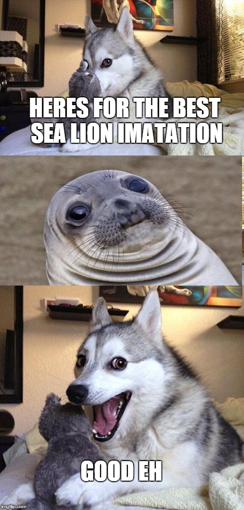 Bad Pun Dog Meme | HERES FOR THE BEST SEA LION IMATATION; GOOD EH | image tagged in memes,bad pun dog | made w/ Imgflip meme maker
