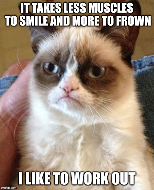 Grumpy Cat Meme | IT TAKES LESS MUSCLES TO SMILE AND MORE TO FROWN; I LIKE TO WORK OUT | image tagged in memes,grumpy cat | made w/ Imgflip meme maker