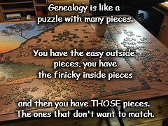Genealogy puzzle | Genealogy is like a puzzle with many pieces. You have the easy outside pieces, you have the finicky inside pieces; and then you have THOSE pieces. The ones that don't want to match. | image tagged in memes | made w/ Imgflip meme maker