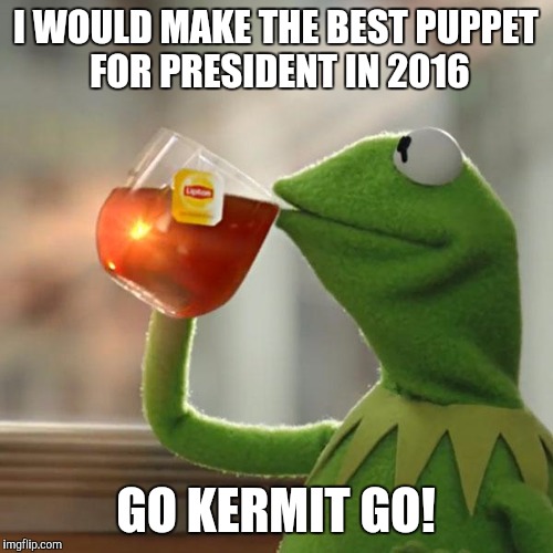 The most qualified puppet for 2016 is Kermit! | I WOULD MAKE THE BEST PUPPET FOR PRESIDENT IN 2016; GO KERMIT GO! | image tagged in memes,but thats none of my business,kermit the frog | made w/ Imgflip meme maker